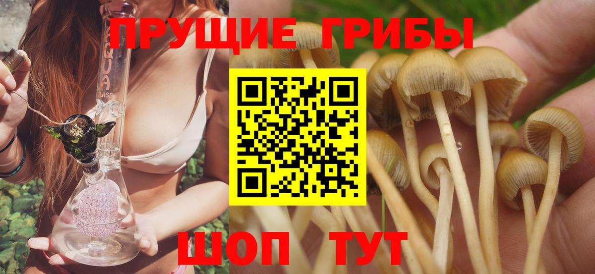 Псилоцибиновые грибы мицелий  Вход с VPN  Гусь-Хрустальный 
